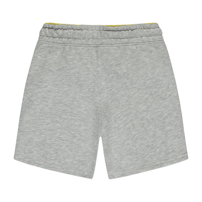 Toddler Boy's Knit Shorts, Cotton Fleece, Multiple Colors