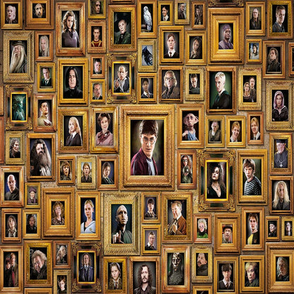 Harry Potter, Puzzle de 1000 pièces